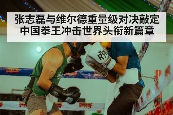 张志磊与维尔德重量级对决敲定 中国拳王冲击世界头衔新篇章