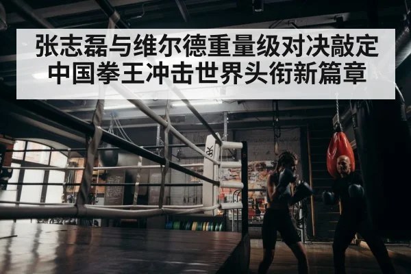 boxer training